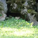 Nyaraló Perigourdin - 2