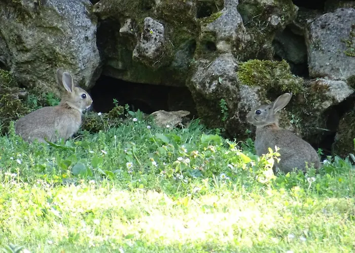 Perigourdin - 2 Prázdninový dům Saint-Genies
